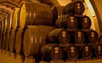 Multiple Wine Barrels in a Cellar