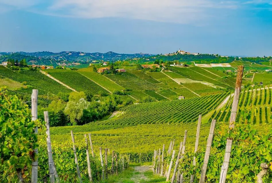 Moscato Wine – The Sweet Italian All-Rounder