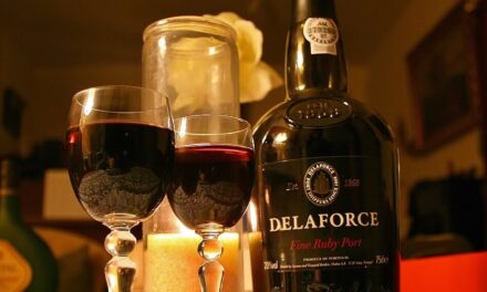 Port Wine – The Complete Guide for Wine Lovers