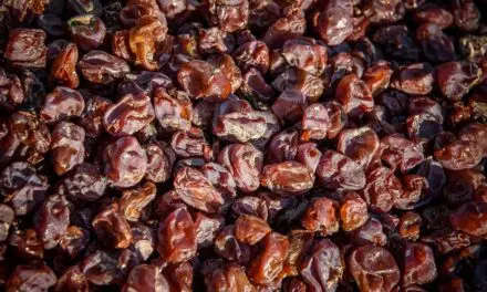 What Is Noble Rot and What Does It Do to Wine?