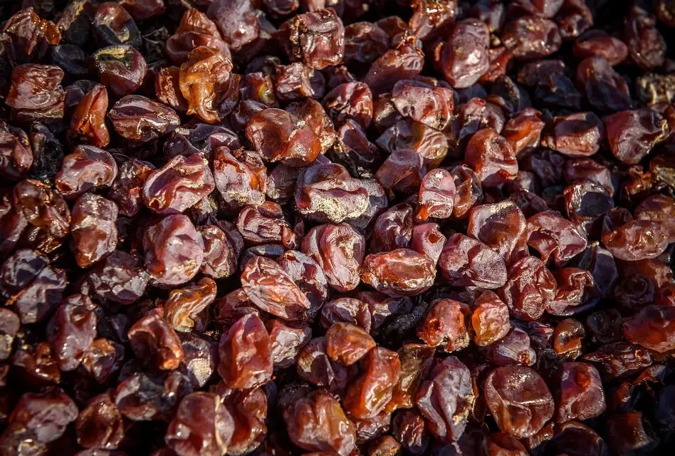 What Is Noble Rot and What Does It Do to Wine?