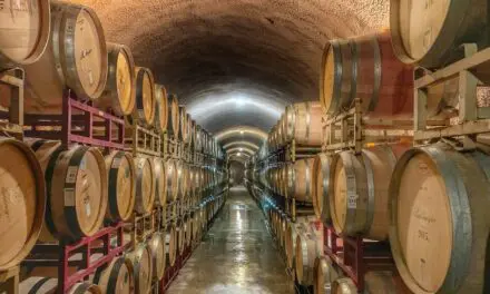What Is Oaked Wine and How Does It Taste?