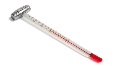 Wine Thermometer