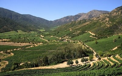 Maipo Valley in Chile