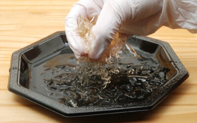 Bowl with Gelatin for wine filtering