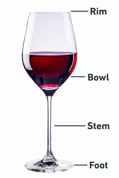 Wine Glass With Labels Explaining Its Components