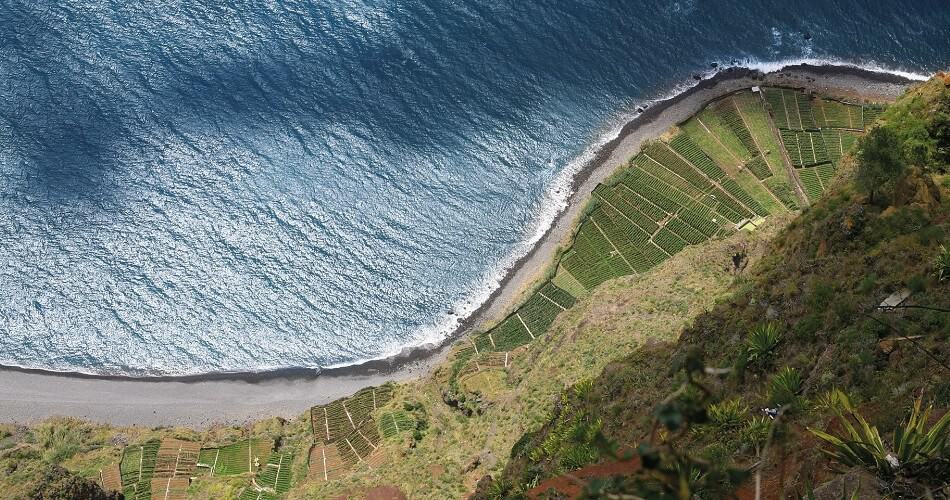 Bird's Eye View of the Coast of Madeira Island with Vineyards