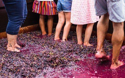 People stomping Grapes with their Feet