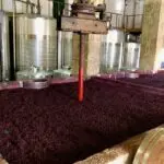 How Wine Is Made – The Basics of Winemaking