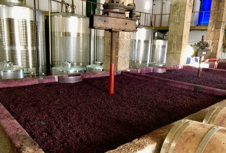 How Wine Is Made – The Basics of Winemaking