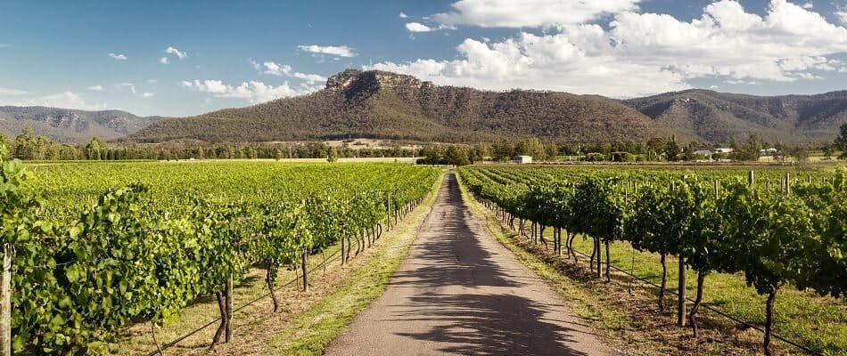 Hunter Valley in New South Wales, Australia