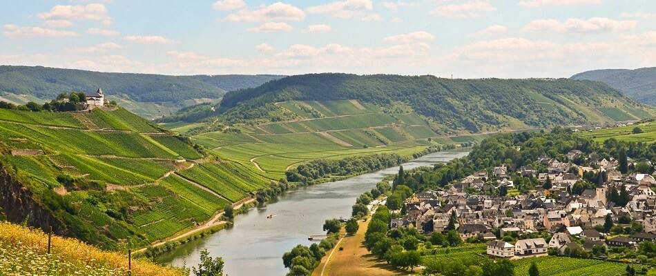 Vineyards on Slopes in the Mosel region, Germany