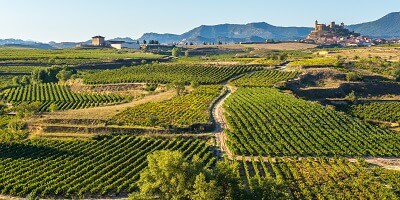 Rioja Wine Region