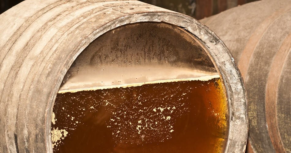 Sherry Riping under a Layer of Yeast