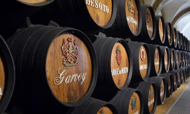 Fortified Wine Explained (with 9 Great Examples)