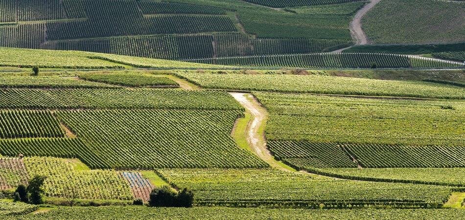 Champagne Ardenne Region