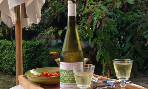 Muscadet Wine: Origin, Taste, Food Pairing