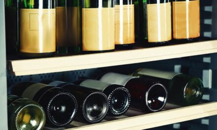 Why Is My Wine Cooler Beeping – 8 Reasons