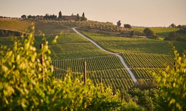 What Is Super Tuscan Wine?