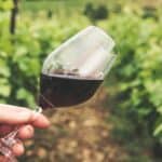 What Is Wine Structure and Is Structured Wine Good?