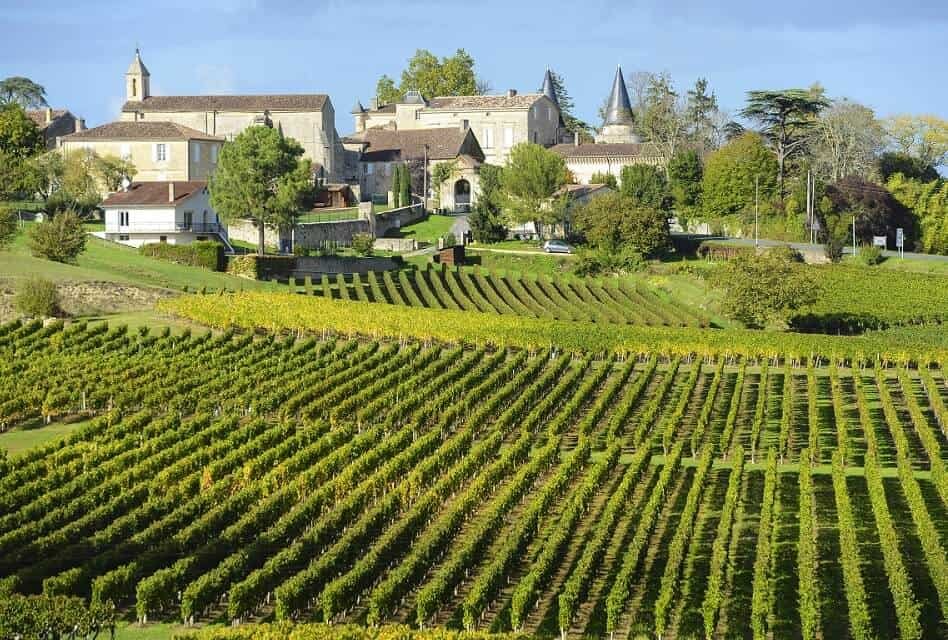 Vineyard in St. Emilion, Bordeaux, France